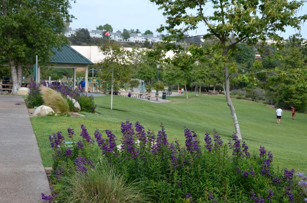 Cottonwood Creek Park, Encinitas - Beyond Those Trees And Past A Fence Is The Actual Creek - Photo By Julius Galacki