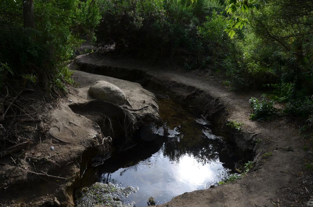 A Perfect Place To Skip Some Stones - Cottonwood Creek, Encinitas - Photo By Julius Galacki