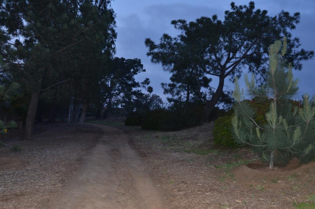 Encinitas Ranch Trails - Highly Evocative Location - Just Logistically Too Difficult To Get To With Out Equipment With The Time Constraints - Photo By Julius Galacki