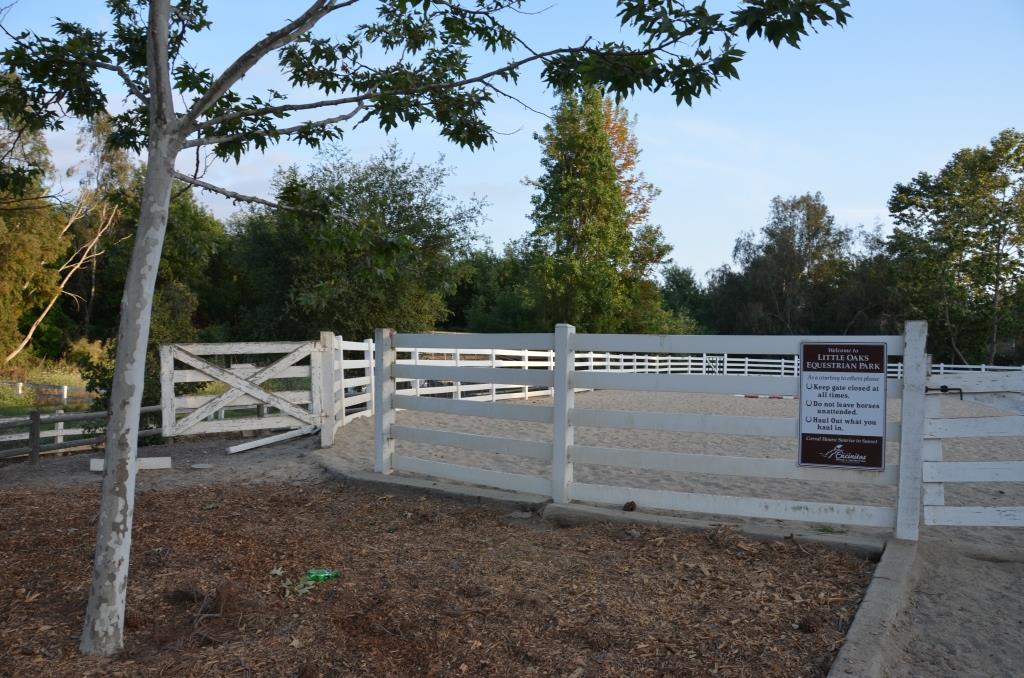 Little Oaks Equestrian Park - Perfect Location - Had To Delete Scene For Time - Photo By Julius Galacki