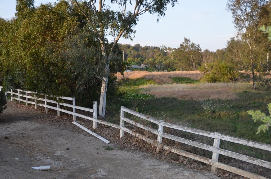 Little Oaks Equestrian Park - Perfect Location - Had To Delete Scene For Time - Photo By Julius Galacki