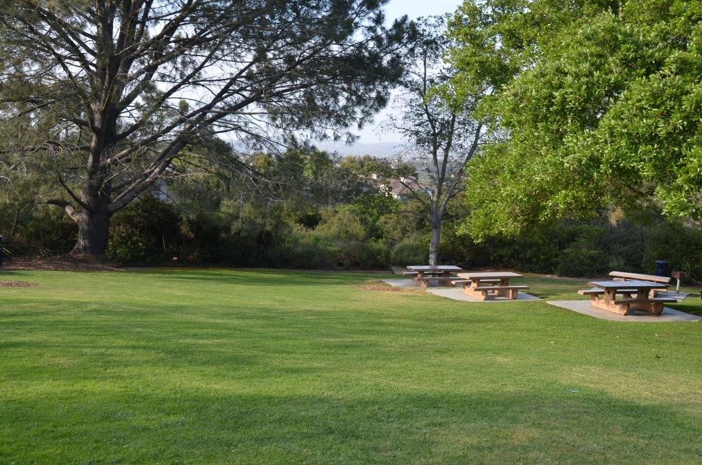 Oakcrest Park, Encinitas - Perfect For  The Park Scene - Photo By Julius Galacki