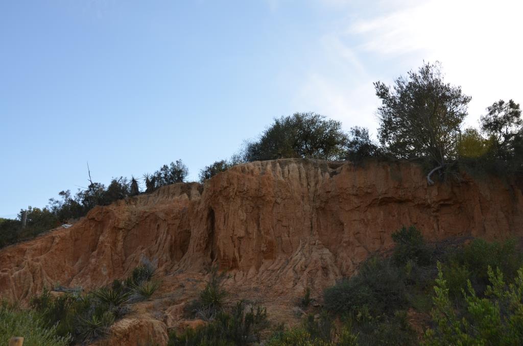 Oakcrest Park, Encinitas - Formations Weren't As Extensive As The Ranch - My Intention Was To Use This As The Backdrop For The Suicidal Thoughts Scene - Ran Out Of Time And Improvised Using Brian And Elizabeth's Backyard On The Last Day Of Shooting - Photo By Julius Galacki