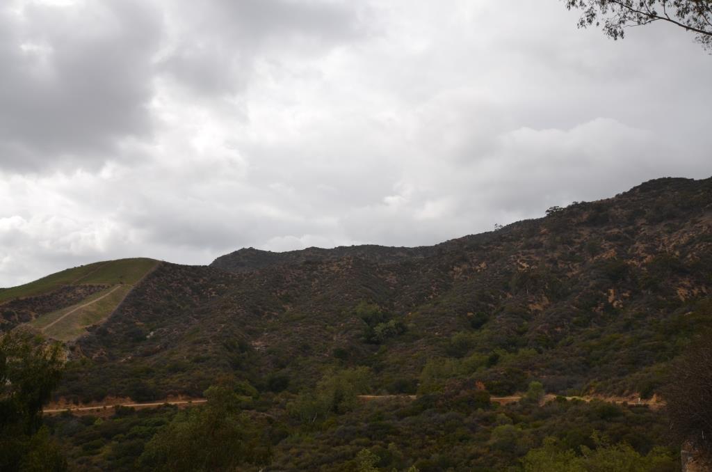A View Of The Path And Hills From Rosy's Deck - 