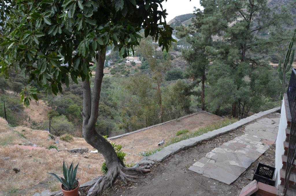 Griffith Park Is In The Background - Photo By Julius Galacki