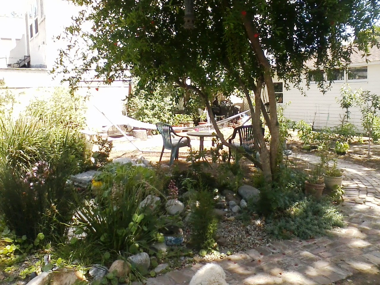 5th Day Of Filming - Notice The Tomato Plants In The Far Background - Cooper Used That As The Backdrop With Shallow Depth Of Field In Order To Match The Suicidal Thoughts Scene To The Stone Skipping - Location Scout By JG