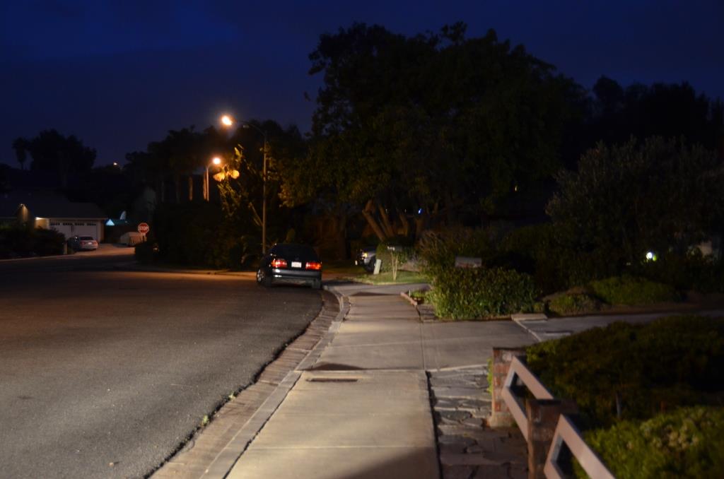 A Street I Considered For The Bunny... Ran Out Of Time In Encinitas And Improvised In Studio City Where I Found An Even BETTER Street - Photo By Julius Galacki