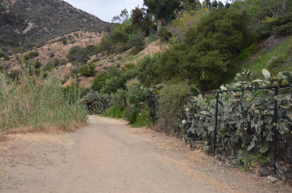 Griffith Park Trail Head - Photo By Julius Galacki