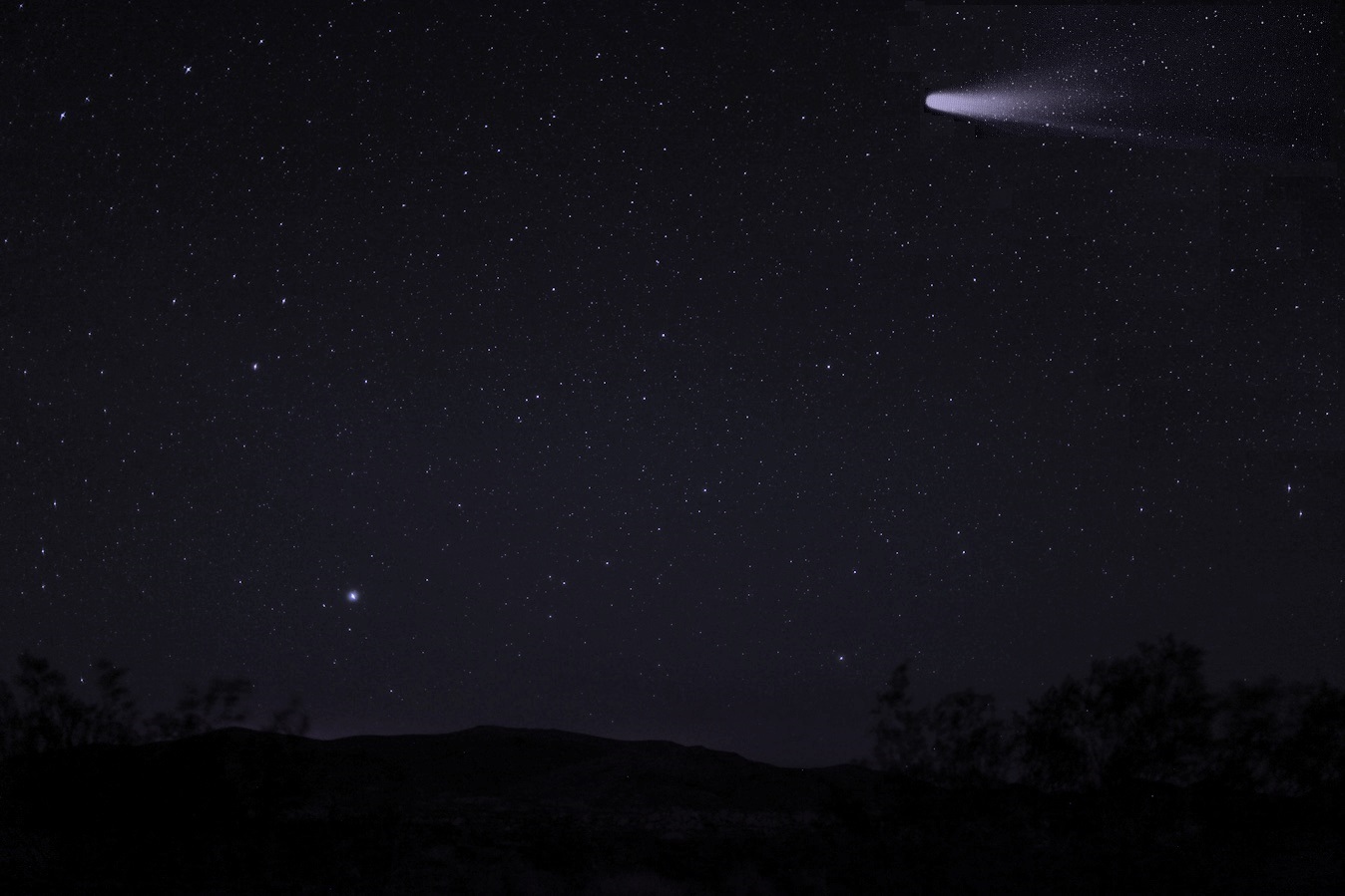 The Comet Reveal Was Created By Julius Galacki Using A NASA PD Image Of Halley's Comet Collaged Into A Joshua Tree National Park Sky Photo Taken By M. Cooper, And Then Color Graded To Finish The Blend