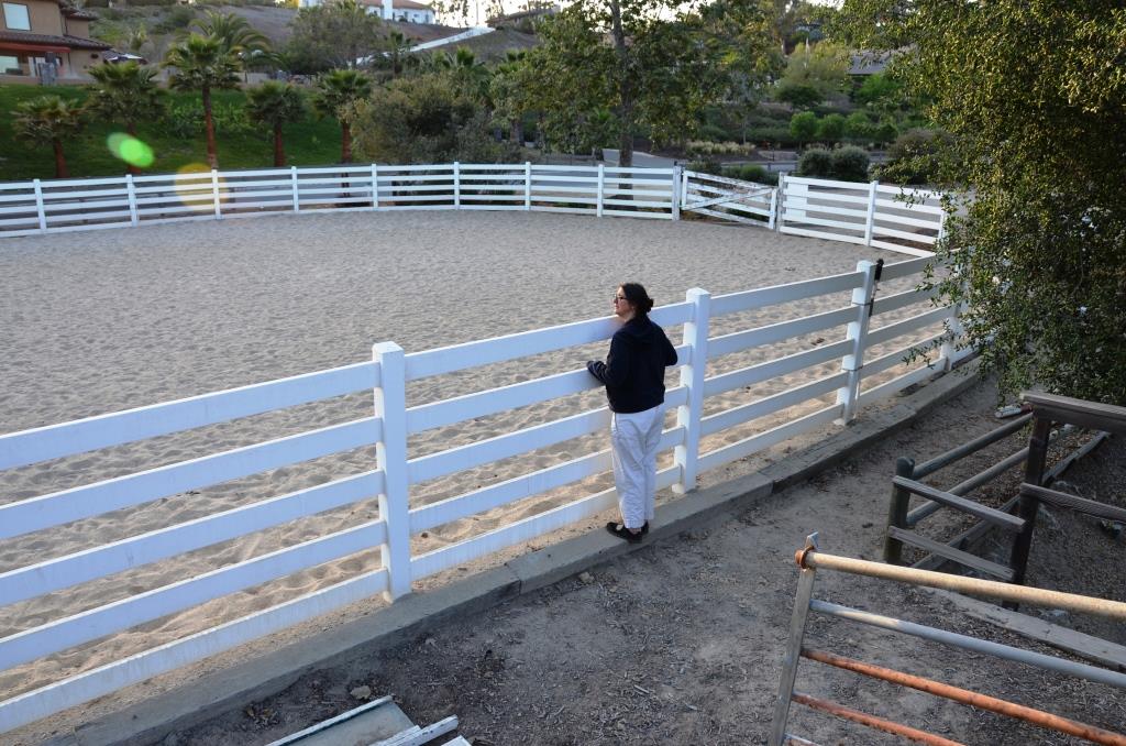 Little Oaks Equestrian Park - Perfect Location - Had To Delete Scene For Time - Photo By Julius Galacki