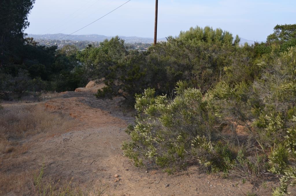 Encinitas Ranch Trails - Highly Evocative Location - Just Logistically Too Difficult To Get To With Out Equipment With The Time Constraints - Photo By Julius Galacki