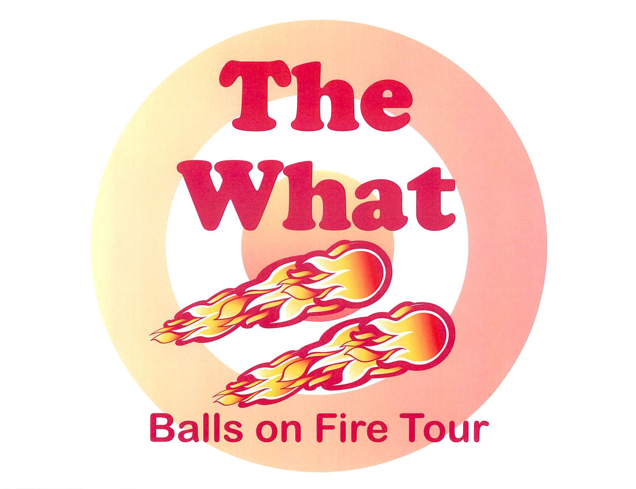 The What Logo Design (concept By Julius Galacki, Execution  By Paula Fradio)