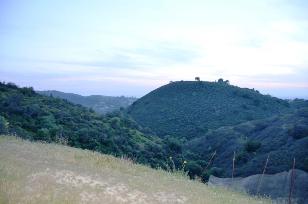 Sunland Area... Maybe The Most Perfect Location For Accessibility And Visuals BUT Couldn't Have Avoided The Permits Here