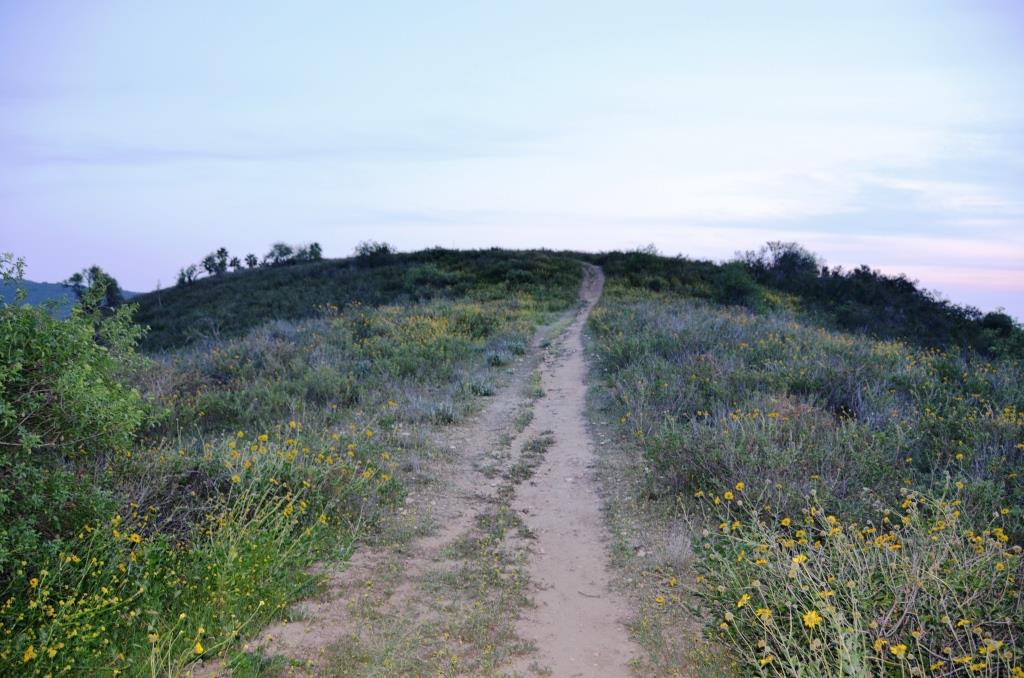 An Almost Perfect Area - BUT Besides The Permits, Need For A Generator, Etc., It Was Not A Multi-use Location - Photo By Julius Galacki